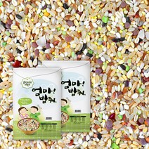 영양폭탄 45곡 혼합잡곡 20kg(10kgx2) 혼합곡 잡곡쌀 엄마밥줘, 2개