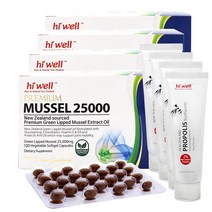 하이웰 프리미엄 뉴질랜드 초록홍합오일 25000mg 100캡슐+프로폴리스치약100g 초고함량 머슬오일 100일분, 100캡슐, 4통