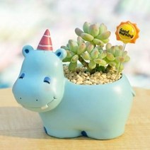 하비스 루고 인테리어 미니 다육이 화분 작은 자연 하마, 단품