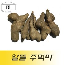 국산 주먹마 파지마 5kg 생마 알뜰마 마쥬스 마전 마요구르트 마우유