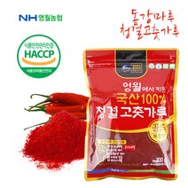 22년산 [영월농협]동강마루 청결 고춧가루300g(보통맛), 1개, 300g
