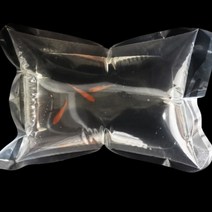 열대어 구피 물고기 포장 비닐 어항 꾸미기 10 키우기 사료 해수 새우 블루 벨벳 체리, 1피쉬비닐16X20cm10p