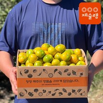 제슐랭 제주 조생귤 당일수확 제주도 감귤 제주도 1kg 3kg 5kg 10kg 가정용 귤, 조생귤 10kg 소과