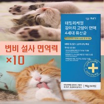 펫생각 강아지유산균 고양이유산균 강아지변비 고양이변비 강아지입냄새 강아지변냄새 고양이입냄새 고양이변냄새 고양이 오줌냄새 대형견 소형견유산균, 황태맛, 10박스, 소화기능 개선