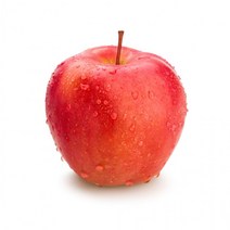 바로먹는 세척 꿀 사과 부사 가정용 중과 5kg 16ㅡ18과, 상세페이지 참조