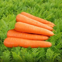 청정당근 3kg 강원도햇당근, 하