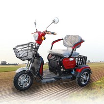 삼륜전기오토바이 삼륜차 노인전동스쿠터 전기차 씽씽500, 씽씽500 (전동삼륜차) - 빨강