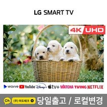 LG 65인치 4K UHD 스마트 TV 65UN7300 / 65UQ7070 리퍼 /, 2. 수도권역 벽걸이 +상하브라켓