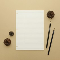 핑크풋 1000 3공미니바인더리필지(코넬), 1개