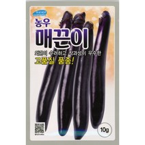 매끈이가지 10g 농우씨앗