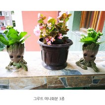 베이비 그루트 미니화분 연필꽂이 다육이 수초 화분 실내 인테리어, 인사