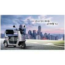 한솜모터스 e시티컴2S 전동스쿠터 전기삼륜차 전기차 플러그인 노인 어르신, 대구경북, 레드
