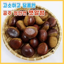 국산 공주 정안 알밤 2kg (대 사이즈) 햇밤, [칼집X]공주 정안 알밤(대)4kg, 1개