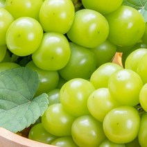 진코어 크기 소과 지역 랜덤 샤인머스켓 2kg