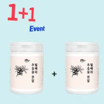 빌베리 추출물 분말 빌베리 루테인 눈 영양제 빌베리 눈피로 빌베리 빌베리정 빌베리분말 유기농빌베리분말 bilberry 빌베리캡슐 여성갱년기영양제 빌베리루테인 빌 베리 빌베리 효능, 2병