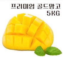 태국산 옐로우망고 아이간식 황제 남독마이 골드 생망고 5kg, 프리미엄 태국 골드망고, 1개