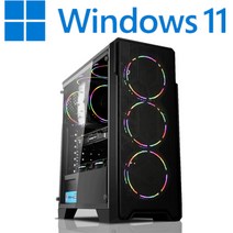 [왕가PC]WGCP 윈도우11 탑재 데스크탑 3D게임용 배그 풀옵션 게이밍 조립컴퓨터 롤 오버워치2 로스트아크 국민옵션부터 풀옵션 조립PC, 04. HDD 1TB 추가, 게이밍 18
