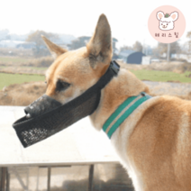 소형견 중형견 대형견 푸들 리트리버 진돗개 짖음방지 메쉬 원버튼 입마개 가벼운, 원버튼-XL