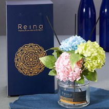 레이나퍼퓸 스노우수국 플라워디퓨저 150ml 2개, 핑크_망고