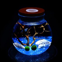 비투비월드 마리모 키우기 LED 유리병 꾸미기 코르크병, 상세 설명 참조, 상세 설명 참조, 단일옵션