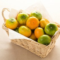 초록자연 제주 타이벡 감귤 5kg (특대과)타이백감귤노지감귤 하우스감귤 조생감귤 조생귤 제주산 타이벡감귤 타이백감귤 햇감귤 제주도감귤 제주도밀감 과일선물
