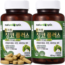 은행잎추출물 혈행개선 60정 식약청인정 은행잎 플러스 고함량 정제 추천 징코 효능, 60정 x 2개 (4개월분), 2개