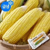 다온푸드 [신선한] 국내산 냉동 초당옥수수 2팩(4개입)/특사이즈 17~20cm, 단품없음
