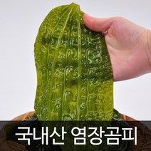 푸르젠 국내산 염장곰피 1.5kg, 1박스