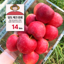 고농축당도 14brix 루비에스 미니 사과, 1개, 1kg