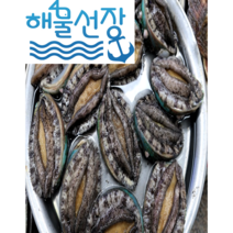 [해물선장] 미역 먹인 완도 활전복(17미~18미) 1kg, 1개