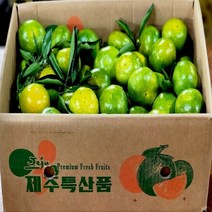 탐라인 극조생감귤 로얄소과 5kg내외, 1box, 5kg