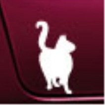 자동차 포인트 스티커 차량용 데칼 본내트 운전석문 얼룩보완 뒷타이어옆 HG 컬러감좋은 MQ4 긁힌흠집 아반떼HD 스포티지NQ5 푸조 남편선물 포터2 k7, 화이트, B타입