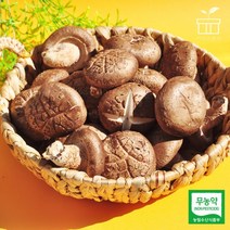 장흥 표고 버섯 생표고버섯 특품, 08. 장흥 생표고버섯 2kg 특, 1개