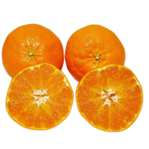 레드향 제주도 고당도 가정용 흠과 3kg 5kg, 대과3kg