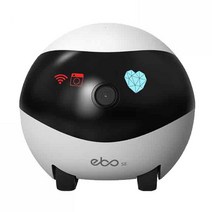 (당일) 미국 에나봇 이보 EBO SE 움직이는 스마트 홈 CCTV 반려동물 펫 카메라 / Enabot EBO SE Moving Cam for Indoor Security