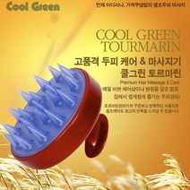 두피마사지브러시 음이온 케어쿨링 샴프브러쉬 스케일링 두피마사지기 탈모 두피관리 비듬 샴푸브러쉬 샴푸솔 각질제거 비듬관리 헤어브러쉬 두피맛사지 머리 샴푸브러시, 쿨그린 토르마린 브러쉬 화이트