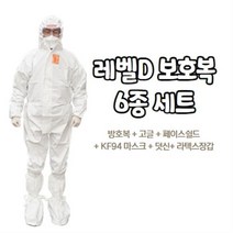 레벨D 방호복 6종세트 가드웨어 드림가드 고글 페이스쉴드 보호복 의료용 방역복, 드림가드L, FS02(전면형), 청색L