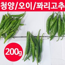 국산 청양고추 오이 풋고추 꽈리고추 200g 500g, 청양고추 500g (54-70개)