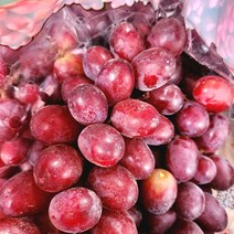 고당도 프리미엄 크림슨포도 씨없는포도, 크림슨포도4.0kg[5팩]