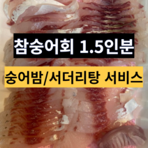 숭어회 참숭어 자연산 밀치회 서더리탕 숭어밤, 250g 내외 필렛(통으로)
