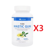 마이라이프 매스틱검 메스틱 검 1000mg 120 베지캡슐 3개, 120개