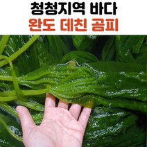 자연산 완도 곰피 미역 1kg 2kg, 곰피미역_1kg