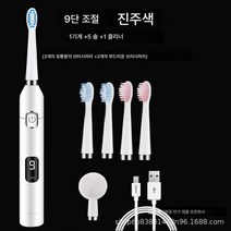초음파 전동칫솔 9단 조절 성인 스마트 충전 전자동 전동칫솔, 흰색, 옵션1