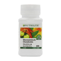 암웨이 AMWAY 글루코사민 및 콘드로이친