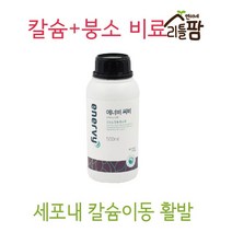 칼슘제 붕소함유 식물영양제 비료 에너비씨비 화분영양제_[230208EA], 본상품선택