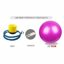 쏭쏭이 헬스 짐볼55cm+발펌프+마개제거핀 세트 필라테스 몸매관리 스트레칭 휘트니스용품 공운동 자세교정볼 간편한운동 헬스장볼, 블루