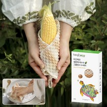 비긴에코 옥수수PLA 수세미 1박스(3매입), 단품, 단품