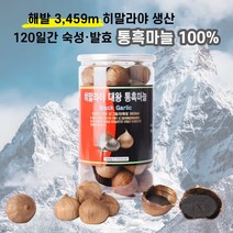 120일 숙성 발효 히말라야 샹그릴라 대왕 통 흑마늘 100% 천연발효 식품 부모님 추석 설 날 명절 건강 식품 선물 세트 추천 중년 여성 남성 검정 갈릭 효능 가격, 500g 2통