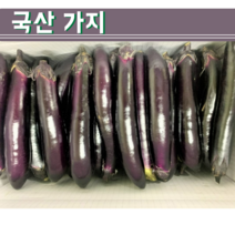 신선 국산 가지 특품 1KG 3KG 5KG 연호유통