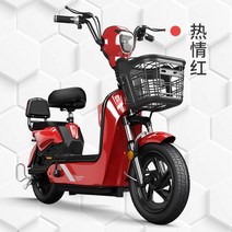 전기자전거 장거리 2륜 배터리 자전거, 11 12A 납산 National Lianbao Tia, 48V